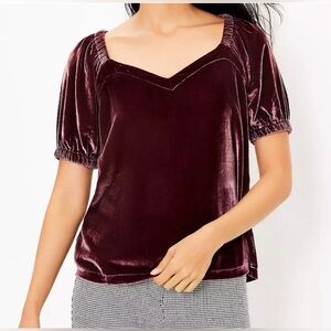 Loft Petite Velvet Puff Sleeve Top